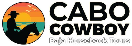 Cabo Cowboy - Baja Horseback Tours / Cerritos Beach, Baja California Sur México.