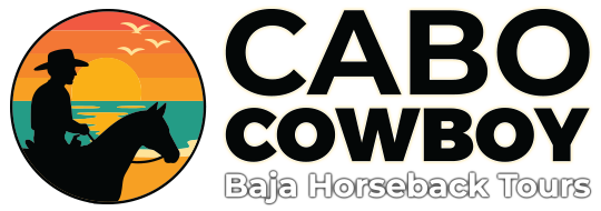 Cabo Cowboy - Baja Horseback Tours / Cerritos Beach, Baja California Sur México.
