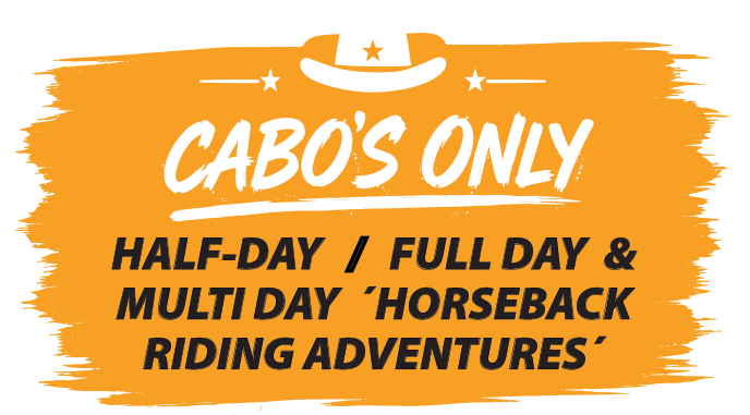 CABO´S ONLY HALF-DAY / FULL DAY & MULTI DAY ´HORSEBACK